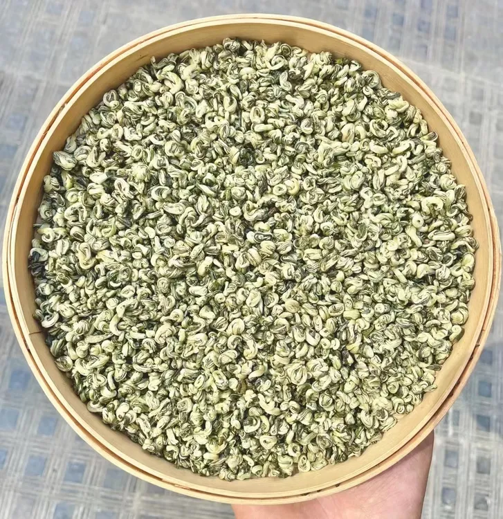 【张哥推荐】云南单芽碧螺春春茶玉螺绿茶