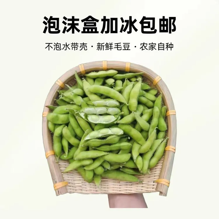 安徽芜湖农家露天九月不泡水带壳大青毛豆2斤/4斤泡沫盒加冰包邮