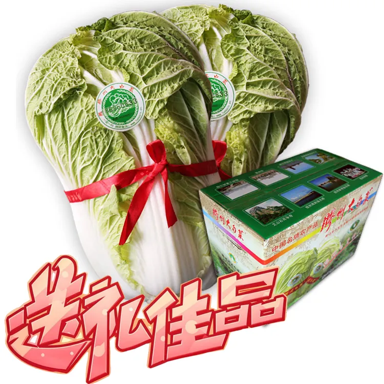 胶州大白菜2棵装净重7-8kg礼盒装新鲜特产蔬菜原产地直发经济实惠
