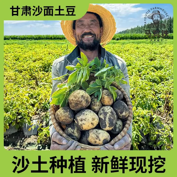 甘肃定西土豆2025年新挖粉糯面沙高山小洋芋马铃薯定西特产5/9斤