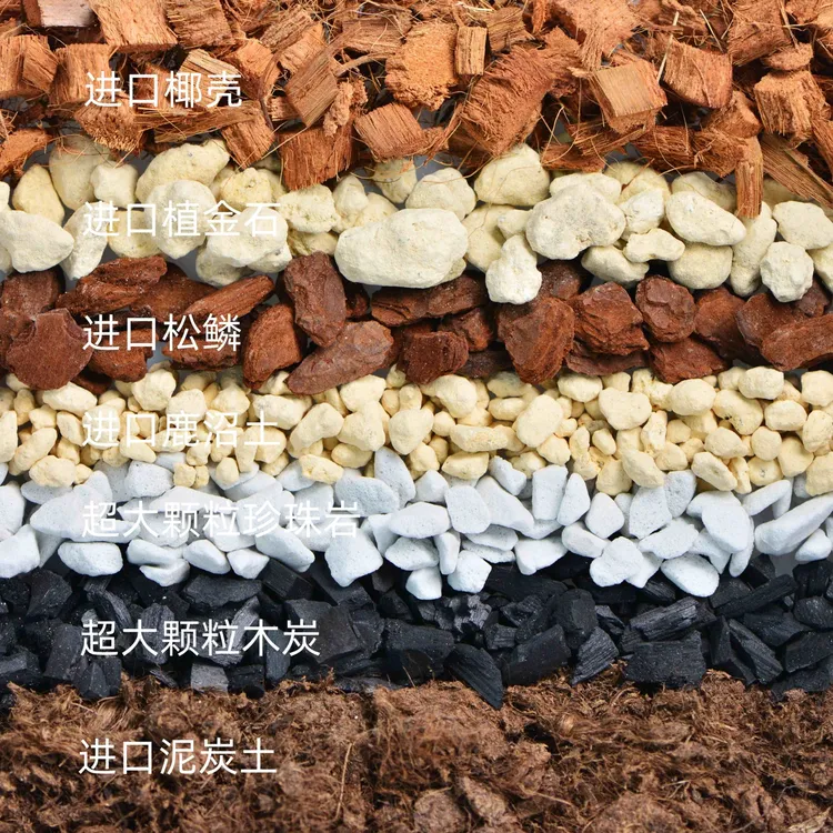 天南星科七合一专用土 玩家版 10升 龟背竹 海芋 龙鳞春羽 花烛