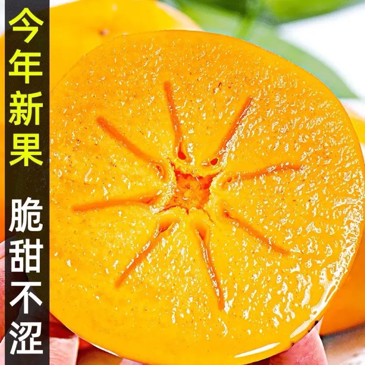 糖心巧克力脆杮【买3斤送2斤】精品大果