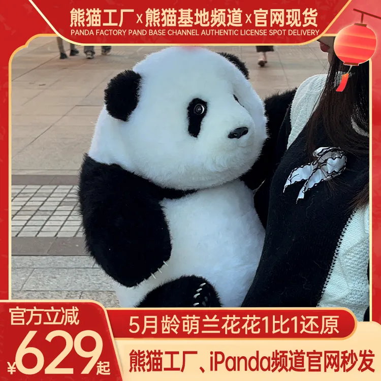 【萌兰直播间优惠】正品5月龄萌兰和花七仔福宝仿真玩偶情人节礼物