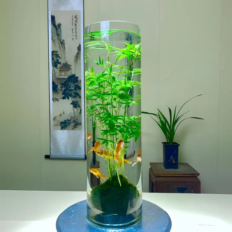 轻奢简约特大号花瓶插花水培高级感客厅居家直筒玻璃花瓶富贵竹