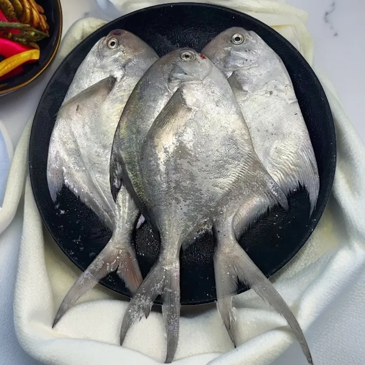 银鲳鱼超值装,东海白银顺丰包邮食用银鱼