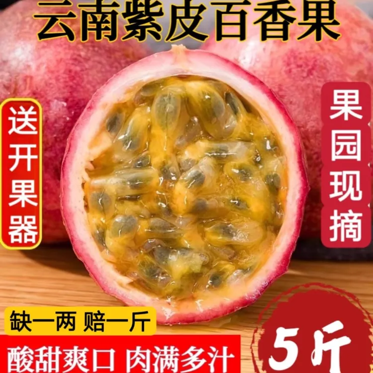 云南百香果 高山紫皮百香果新鲜采摘 产地果园直发现摘现发3/5斤