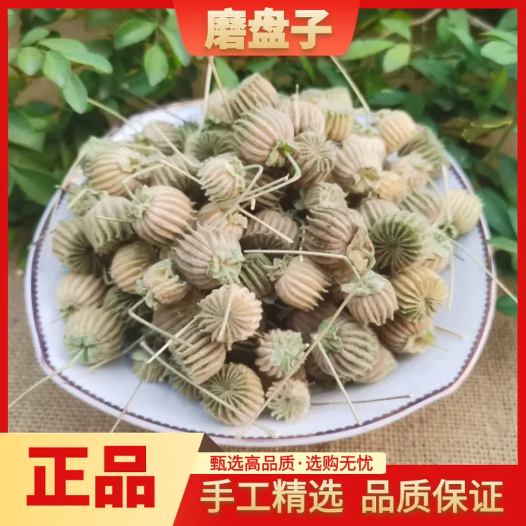 野生磨盘子果实磨盘草果子磨盘籽苘麻子新货正品100g500g非辣木籽