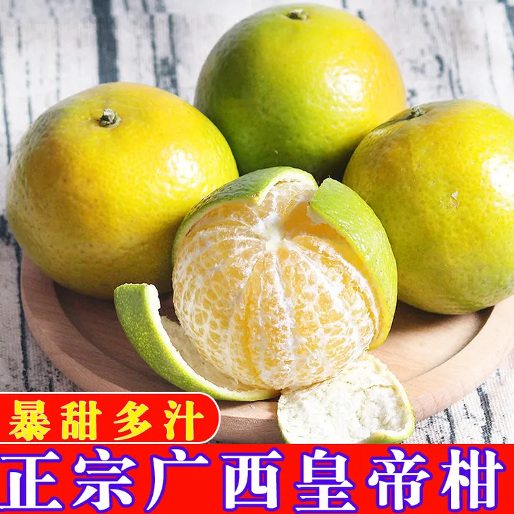 正宗皇帝柑 贡柑新鲜现摘广西桔子 当季水果橘子暴甜多汁