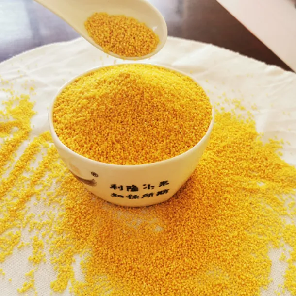 2025新小米天山小米 山地小粒米5斤装