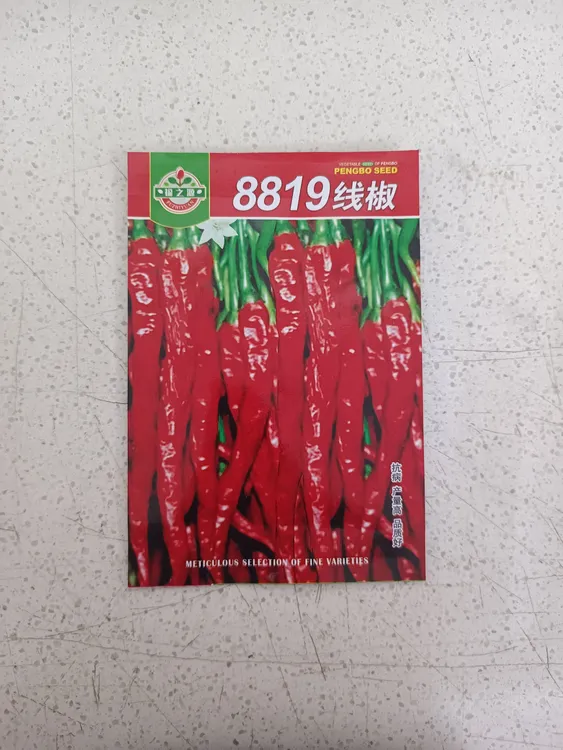 8819线椒