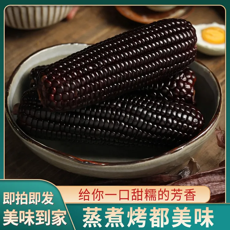25年新鲜采摘东北黑糯玉米真空包装整箱10支整箱5斤左右试吃两支p