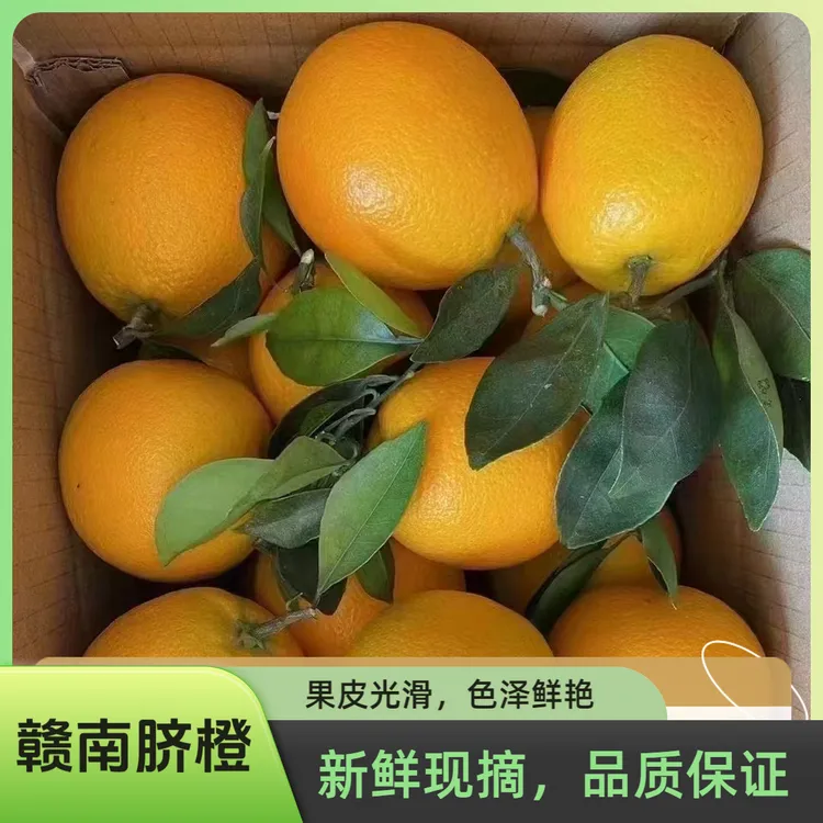 10斤装正宗赣南脐橙现摘现采纯天然无添加（甄选优果）