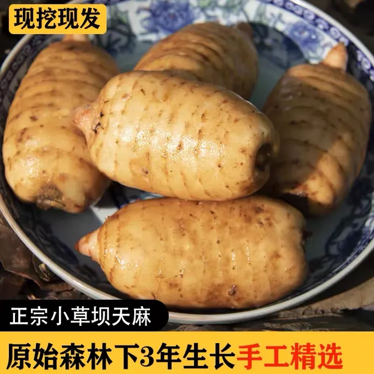 品质精选昭通小草坝三年自然新鲜天麻一斤三斤半五斤坏包赔炖汤