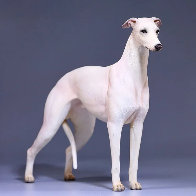 JXK1/6 灵缇格力犬惠比特犬模型 仿真萌宠狗摆件潮玩手办