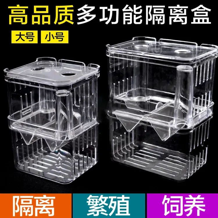 鱼缸隔离盒孔雀鱼孵化盒热带鱼小鱼幼鱼孵化盒大号小号独立