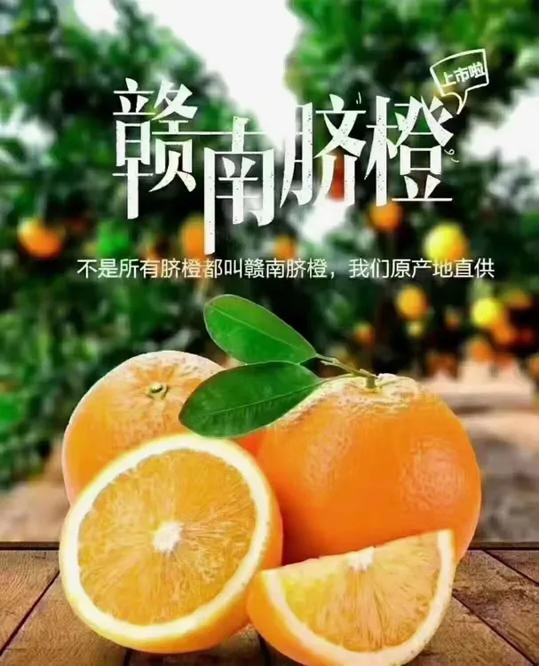 新鲜橙子江西赣南脐橙孕妇小孩当季好吃水果原产地直供20斤包邮