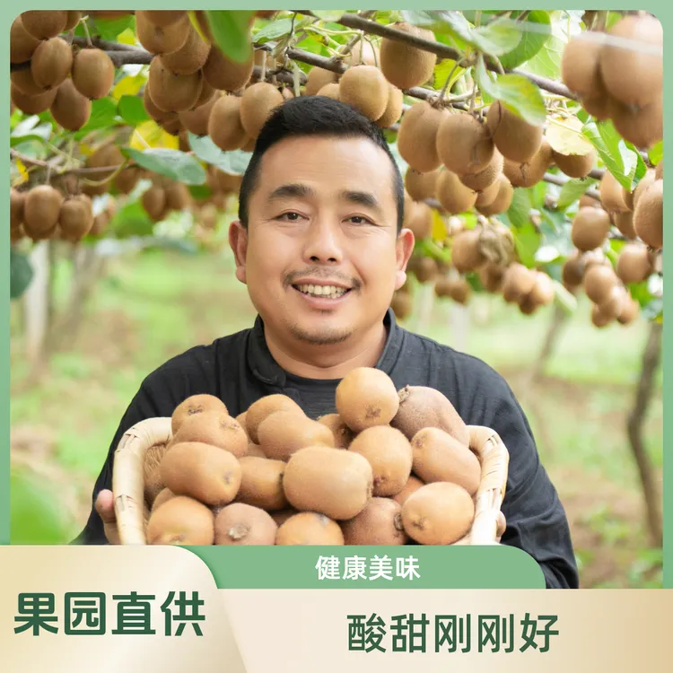 范一果【新疆专属包邮】陕西眉县徐香猕猴桃新鲜绿心奇异果应季