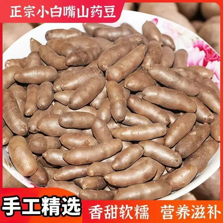 齐老师2024年新货铁棍山药豆正宗山药蛋小白嘴山药豆中大果糖葫芦