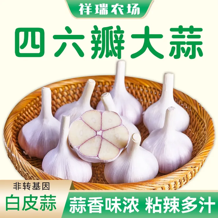 2025年苍山精选新干蒜大蒜老品种四六瓣香辣脆粘三斤五斤产地直发