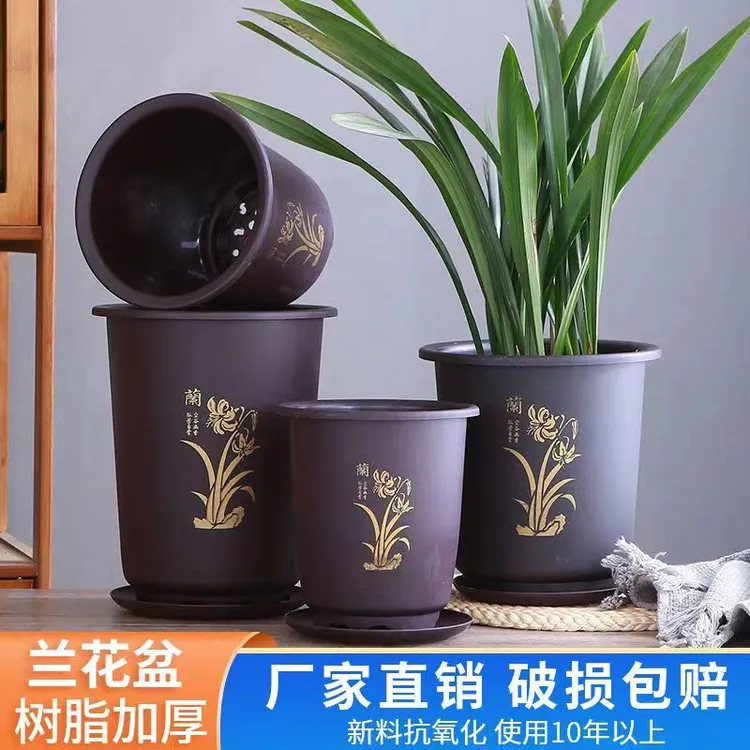 兰花专用盆塑料兰花盆批发月季盆君子兰花盆树脂加厚加高兰花花盆
