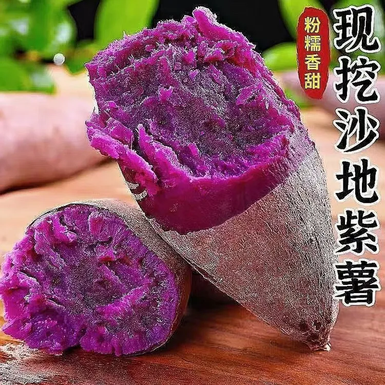 农新鲜地瓜紫薯优质沙地紫罗兰入口粉糯种植肉质饱满季节尝鲜5斤
