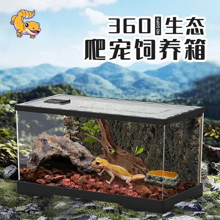 极乐鸟爬宠饲养箱角蛙蛇蜥蜴守宫饲养盒雨林生态螃蟹缸养龟专用缸