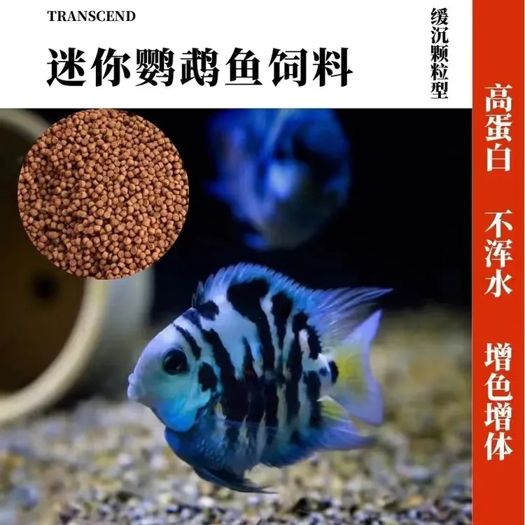 【主播专属】迷你鹦鹉鱼食小颗粒缓沉型高蛋白不浑水开口增体饲料
