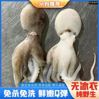【朵妈海鲜】短腿八爪鱼新鲜章鱼鲜冻去内脏免洗250g/包