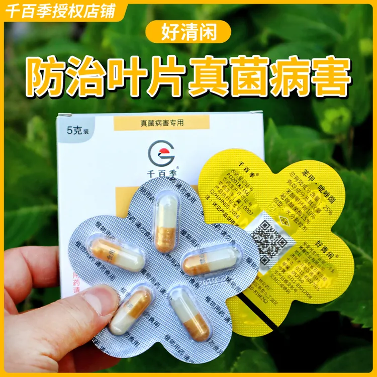 好清闲胶囊月季花病虫害常用药专治黑斑白粉病茶兰花黑斑病专用药