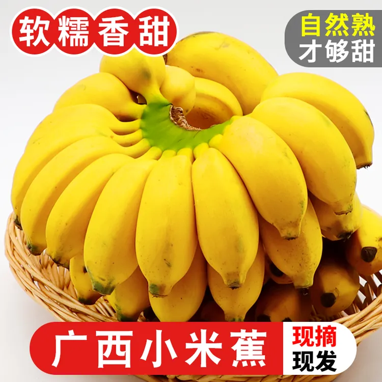 巴马小米蕉广西当季水果薄皮鸡蕉新鲜酸甜可口整箱批发农
