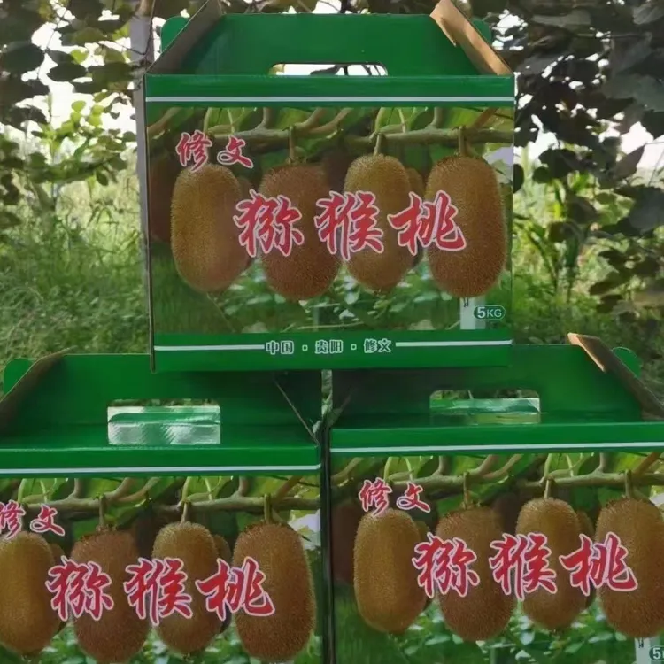 贵州修文贵长猕猴桃绿心猕猴桃小果35g～50g猕猴桃贵州修文