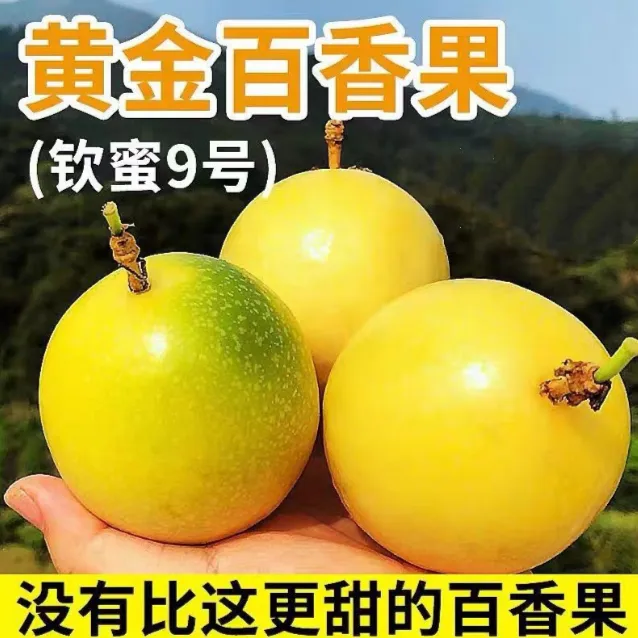 纯甜钦蜜9号黄金百香果现摘现发新鲜孕妇水果黄金果黄鸡蛋果1-9斤