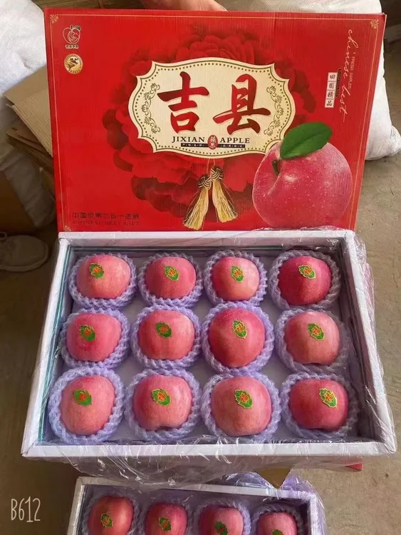 山西壶口红富士苹果孕妇儿童应季水果精品礼盒装12—15个顺丰包邮