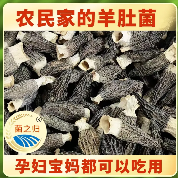 干羊肚菌菇羊肚菌50g*1/袋5-7公分煲汤营养干货丰富汤味鲜美