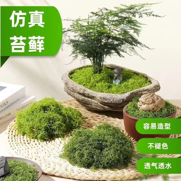 仿真苔藓微景观假青苔不死草皮懒人造景免打理盆景铺面草庭院绿化