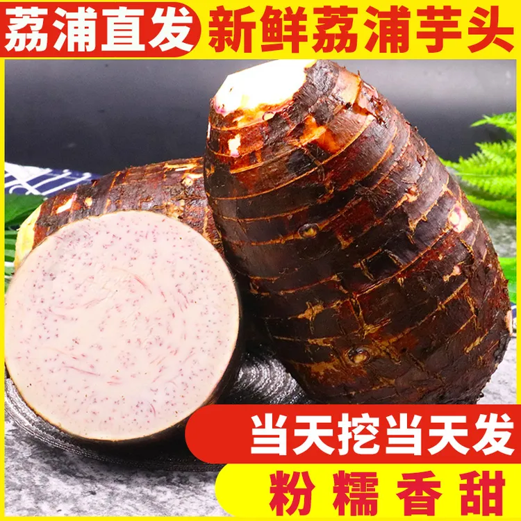 正宗广西荔浦芋头3-9斤新鲜现挖现发香芋香软粉糯皮薄产地直发