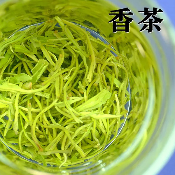 【2025】明前新茶43号树种松阳香茶新茶花果栗香型云雾日照绿茶