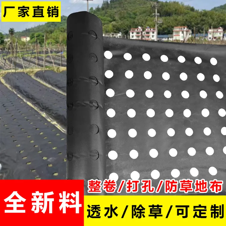 打孔防草布专用防草透水透气保湿黑色盖草布遮草布地膜渗水黑色