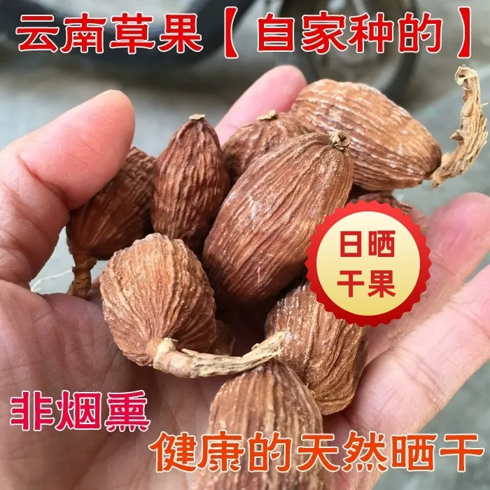 云南日晒草果干货深山野生新货卤料香料调料散装云南特产土特产