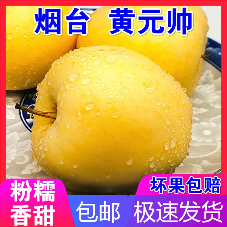 山东烟台黄元帅苹果5斤粉面沙新鲜奶油水果老品种老人孕妇刮泥