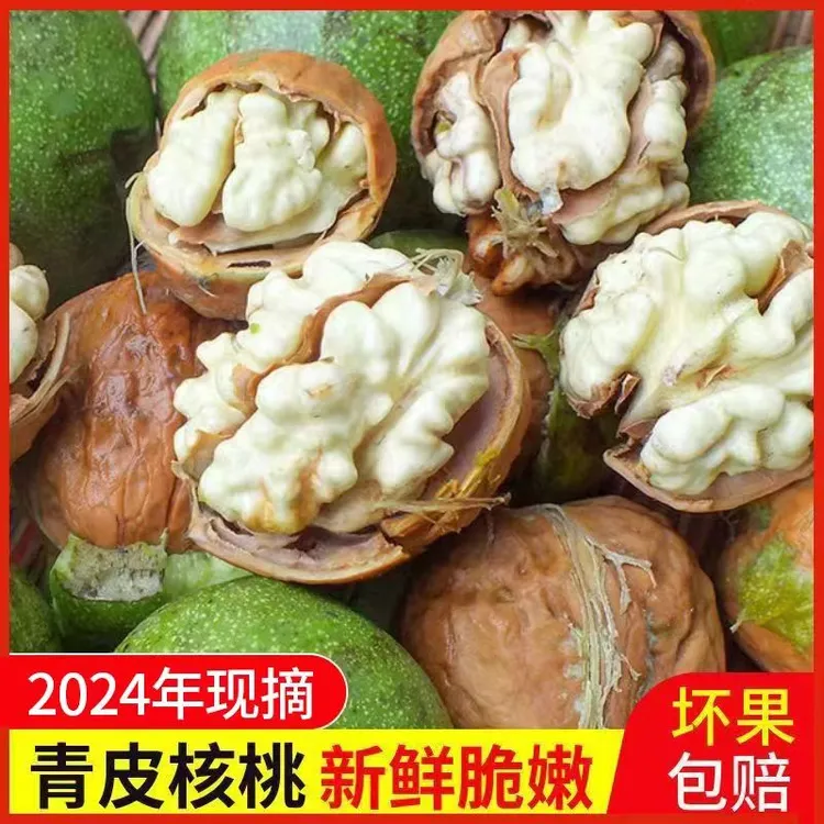 H3【大凉山去青皮湿核桃2024年新鲜核桃1/3/5/8斤水果核桃孕妇宝妈