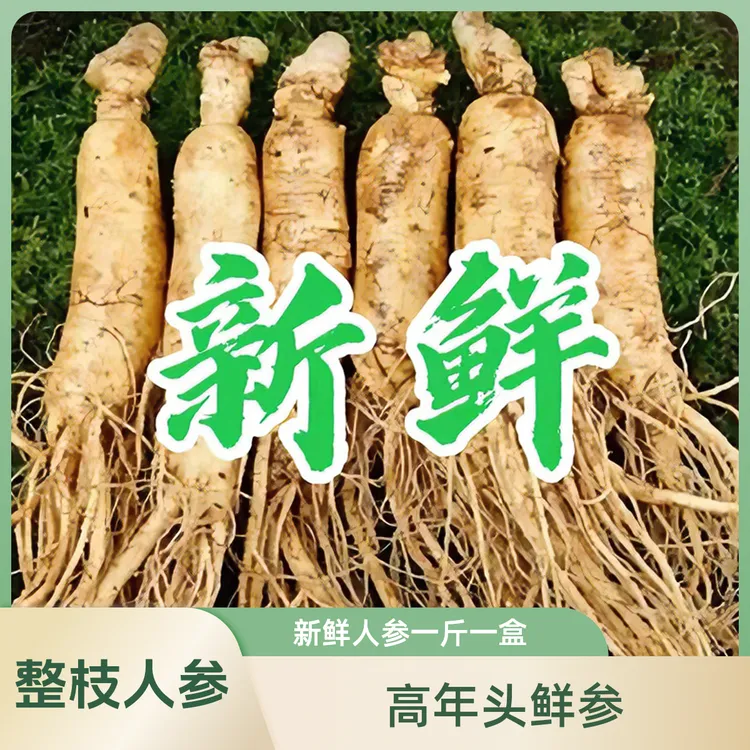 长白山新鲜人参，净重1斤，精品鲜参，泡酒、煲汤、送礼、滋补、顺丰包邮