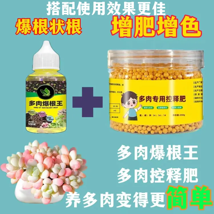 多肉控释肥爆盆均衡多肉营养液有机家庭园艺控释肥花肥