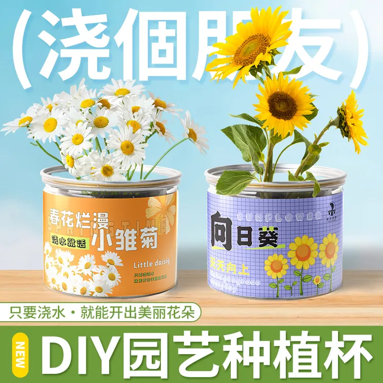 植开心™种植小盆栽室内好养桌面儿童迷你罐头植物向日葵含羞草