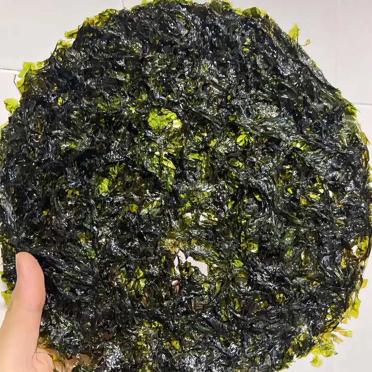 东山岛头水紫菜一斤500克