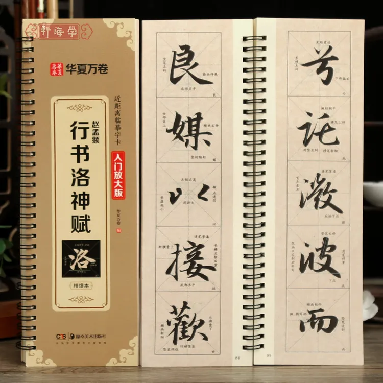 赵孟頫行书洛神赋入门放大版近距离临摹字卡书写示范视频临摹指导