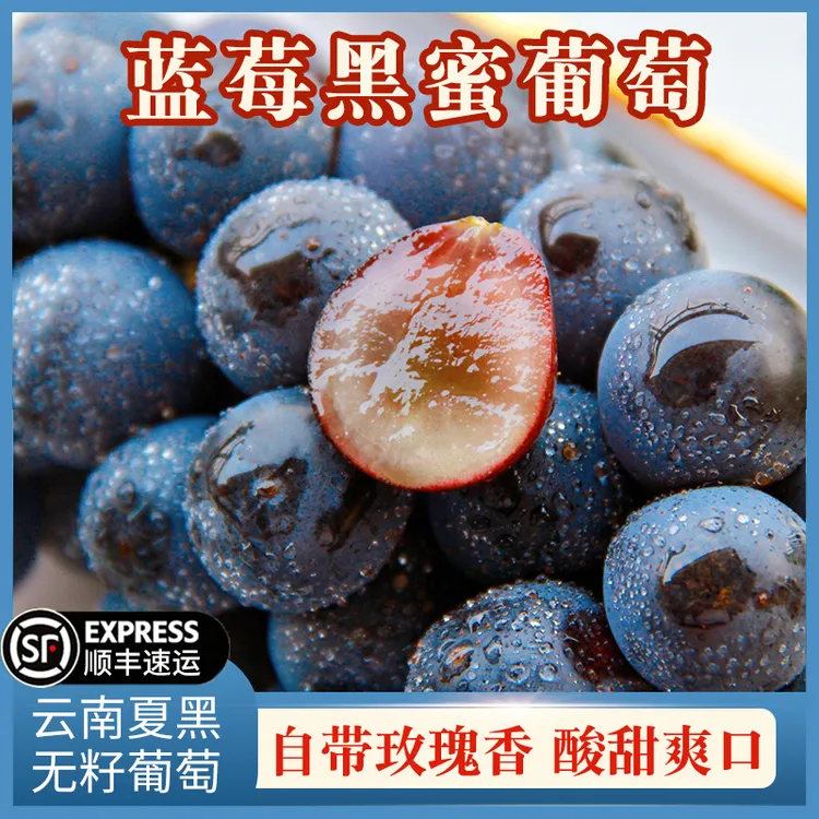 【富含花青素黑蜜葡萄】现摘整串黑蜜葡萄云南无籽黑提孕妇水果2斤商品图