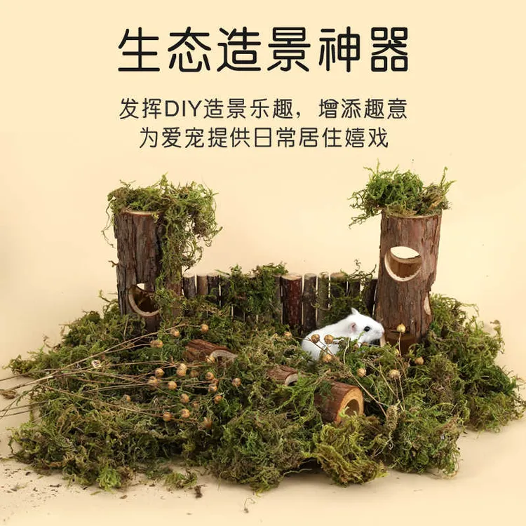 洁西青森干苔藓仓鼠金丝熊垫料装饰仓鼠笼造景用品筑巢秋冬季垫料