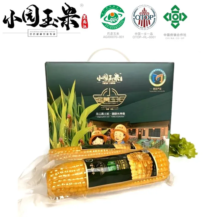 小园玉米东北小金黄品种 农家小园生长 香甜 [美味健康]