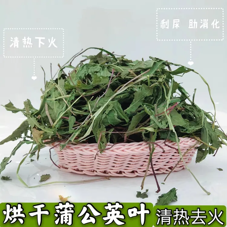 烘干蒲公英草兔子牧草龙猫草豚鼠兔子蒲公英小宠保健草清热消炎